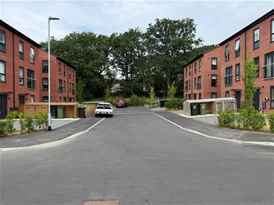 Picture 25